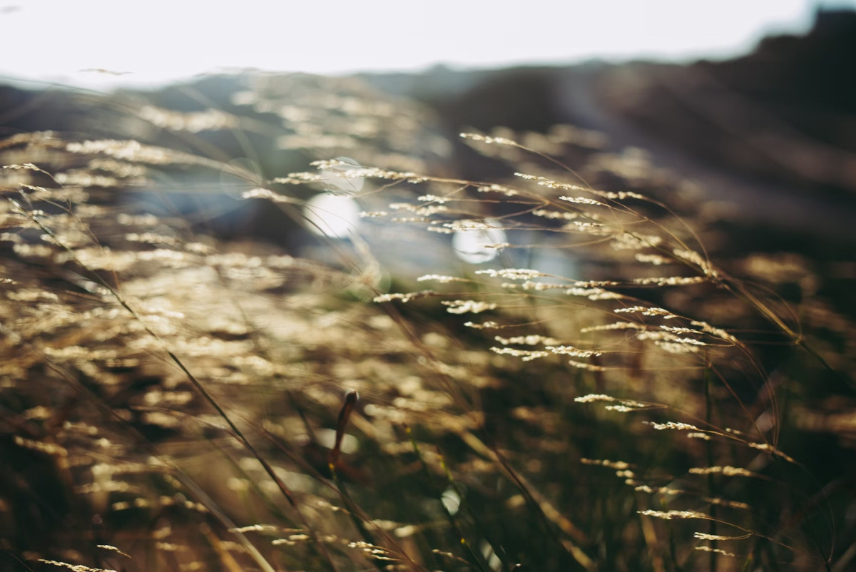 unsplash