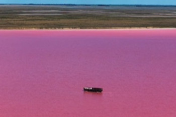 Фотография к новости: Не Кобейтуз: Казахстанцы в восторге от нового розового озера