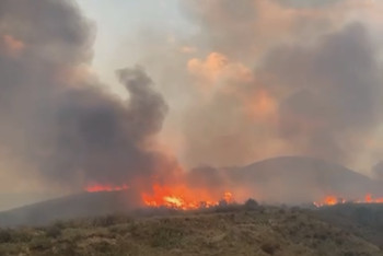 Фотография к новости: В горах Алматинской области бушует пожар