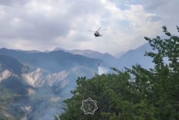 Фотография к новости: В Аксайском ущелье ликвидировали пожар