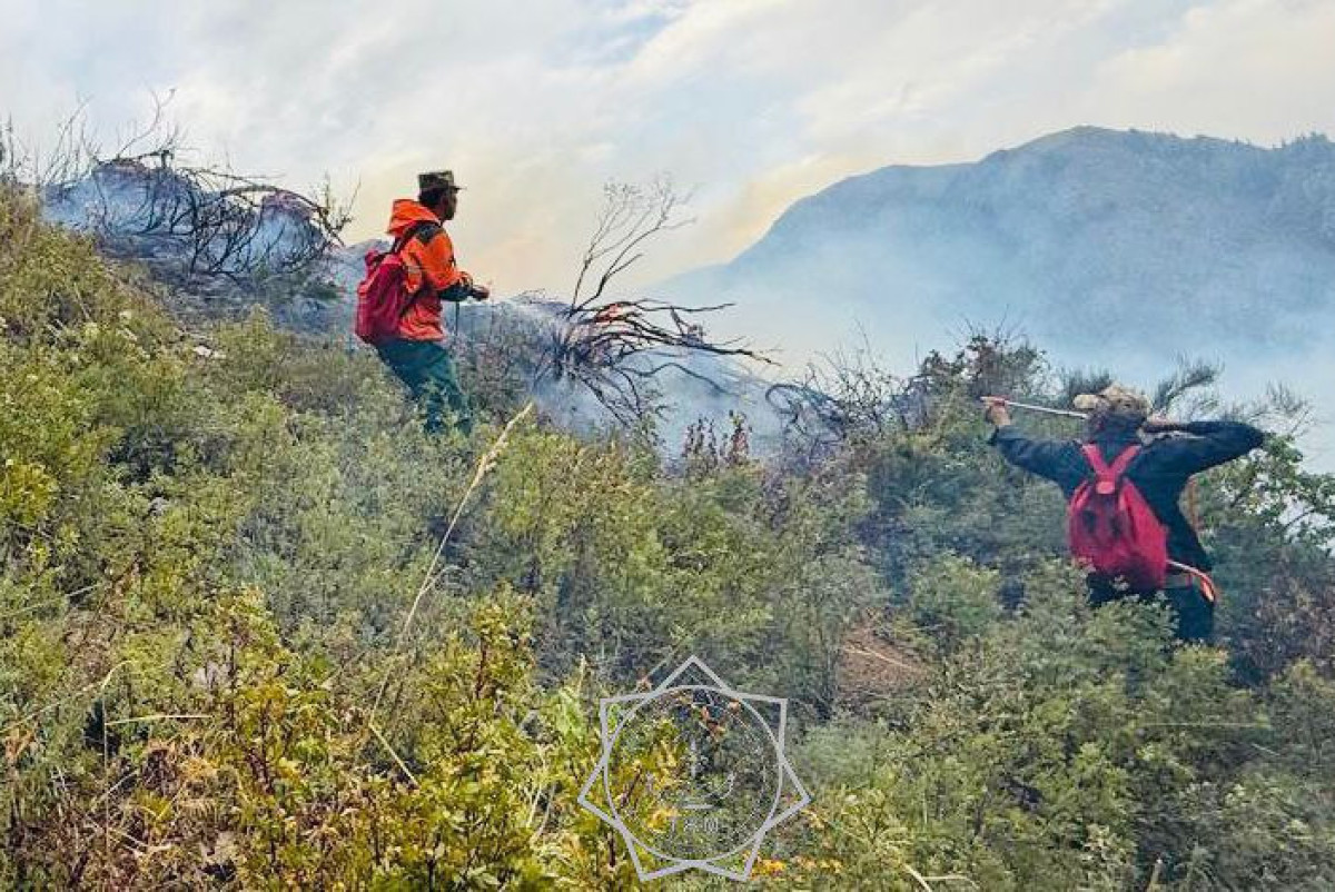 Возгорание сухой травы в области Жетісу успешно ликвидировали