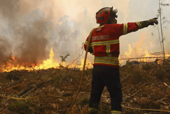 Фотография к новости: В Португалии с лесным пожаром борются 3 000 спасателей