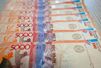 Четыре случая мошенничества за день раскрыли в Алматинской области