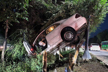 Фотография к новости: ДТП в Алматы: автомобиль повис между деревом и столбом