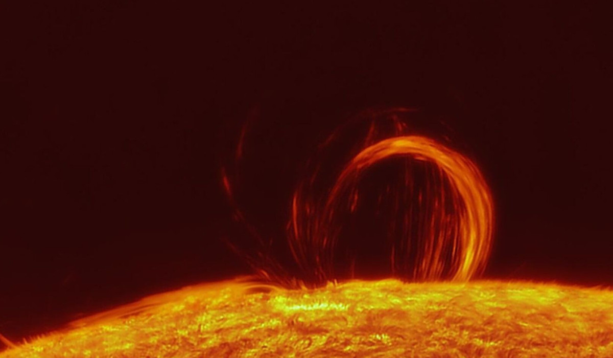 Солнцево шотландының мүшесі