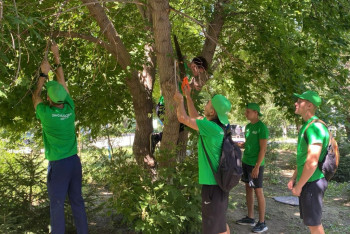 Фотография к новости: 80 бойцов "Жасыл Ел" благоустраивают район в ВКО