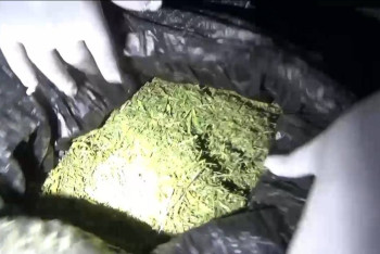 Фотография к новости: Служебная собака раскрыла тайник с марихуаной в Жамбылской области