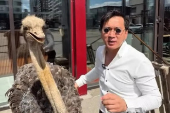 Живой страус у донерной в Астане: Минэкологии объяснило, можно ли так делать