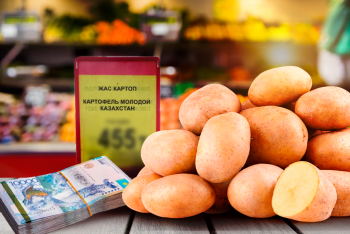 Фотография к новости: Картофельный бум: почему он стоил как деликатес — и повторится ли это снова?