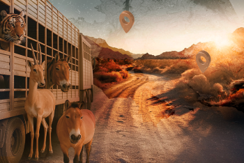 Фотография к новости: Зачем в Казахстане возрождают исчезающие виды животных?