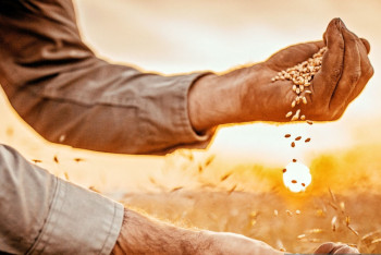 Фотография к новости: Тарифный пресс: в СКО выявили завышенные цены на услуги для аграриев