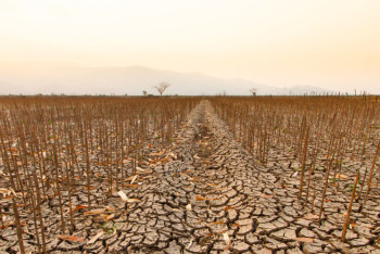 Фотография к новости: Август без дождей: синоптики предупредили о засухе в 10 областях