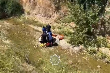 Мужчина по неосторожности упал с 10-метрового моста в Шымкенте