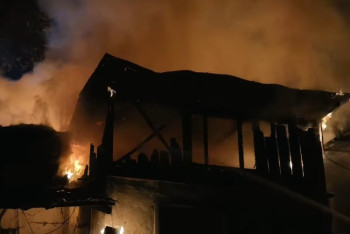 Пожарные Алматы показали на видео захватывающее спасение хомяков из огня