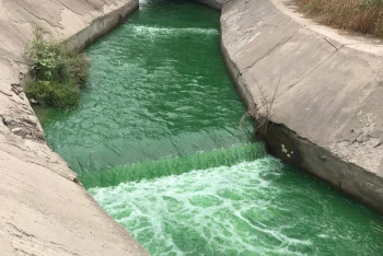 Фотография к новости: Загадочная зелёная вода в Алматы: что выяснилось после проверок?