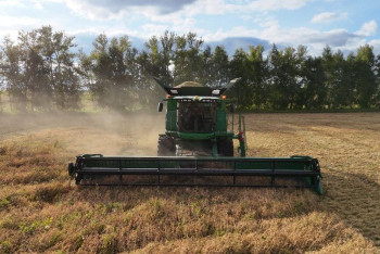 В Костанайской области аграрии демонстрируют высокие темпы уборки