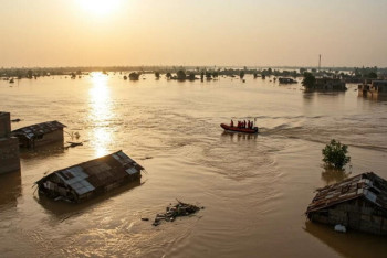 В Пакистане число жертв наводнений и оползней превысило 350 человек