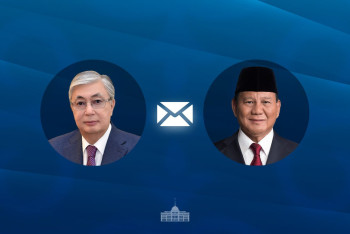 Фотография к новости: Токаев поздравил Президента Индонезии с юбилеем независимости