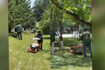 Фотография к новости: В Астане осужденные на пробации вышли на общественные работы