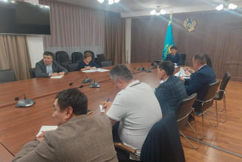 В Казахстане продолжают бороться с нелегальным импортом яиц