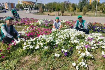 Фотография к новости: В области Ұлытау более 44 тысяч человек приняли участие в акции "Таза Қазақстан"