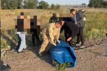 Фотография к новости: Наркокурьер с гигантской партией марихуаны задержан в Жамбылской области