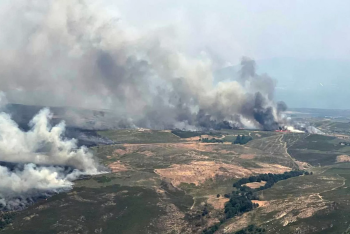 В Испании задержали 37 человек по делу о масштабных лесных пожарах