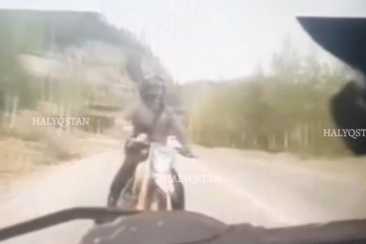 кадр видео