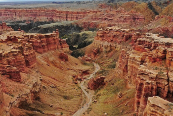 Фотография к новости: В Чарынском нацпарке сняли редкий кадр с джейранами и стервятником
