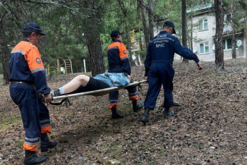 Девушка получила травму при сборе грибов в Каркаралинске