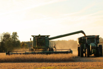 Фотография к новости: Дожди на севере Казахстана могут задержать уборку урожая