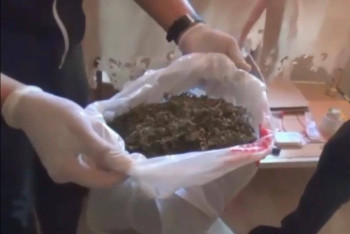 Фотография к новости: В Актюбинской области полиция накрыла наркоплантацию в частном доме