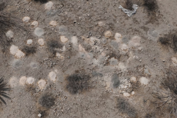 Фотография к новости: В пустыне под Лас-Вегасом нашли останки более 100 человек