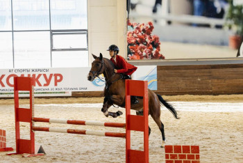 В Астане стартовал Открытый чемпионат по конному спорту