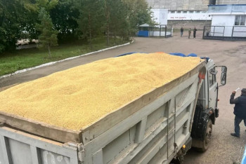 Фотография к новости: Продкорпорация освобождает элеваторы для приёмки урожая 2025 года