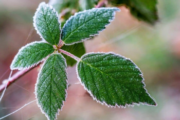 Фотография к новости: Дожди, шквалы и заморозки обрушатся на Казахстан