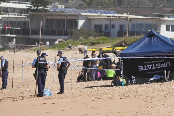 Фотография к новости: В Австралии акула смертельно атаковала серфера у берегов Сиднея