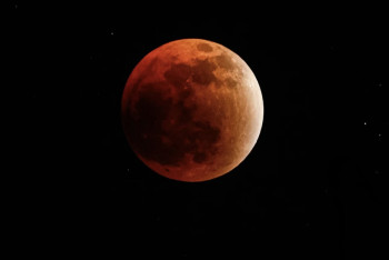 Фотография к новости: Казахстанцы стали свидетелями "кровавой Луны"