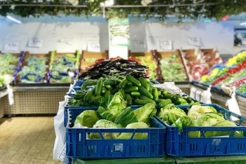 Фотография к новости: Токаев назвал ситуацию с продовольствием на рынке постыдной