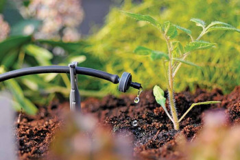 Фотография к новости: Фермерам компенсируют 80% затрат: на водосбережение выделят 214 млрд тенге