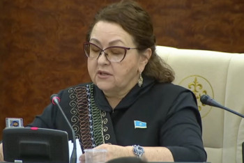 Фотография к новости: Реформы будут жесткими, но эффективными – Смирнова о Послании