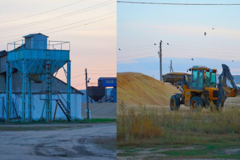 Фотография к новости: "Зерновая мафия": полиция изъяла 54 тонны украденной пшеницы в Костанайской области