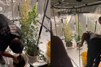 Фотография к новости: В Усть-Каменогорске полиция накрыла домашнюю плантацию конопли