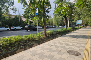 Фотография к новости: Алматы становится зеленее: в одном из районов создают буферные зоны