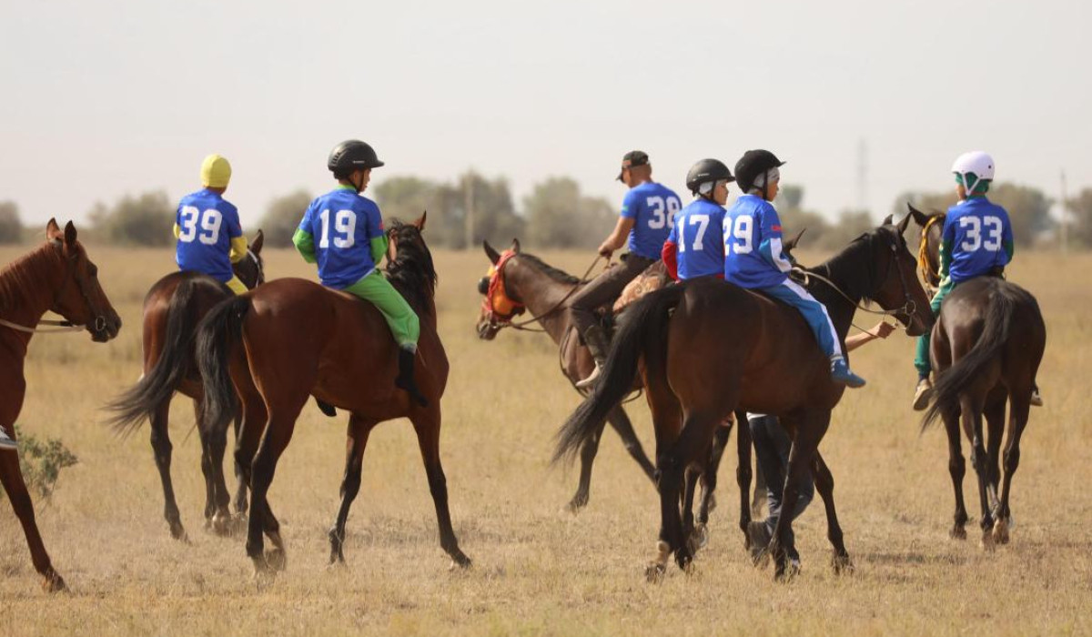 Тайпалық порно салттары