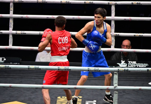 Фотография к новости: Двое казахстанцев вышли в финал чемпионата мира по боксу