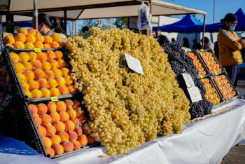 Фотография к новости: Ярмарка продукции аграриев из Актюбинской и Кызылординской областей проходит в Астане