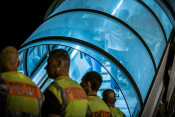 Фотография к новости: Германия ведет переговоры с талибами о депортации афганцев