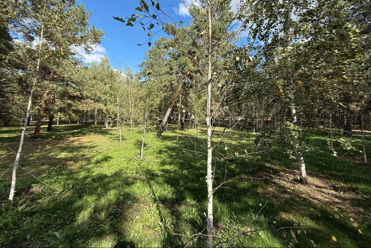 Аскар Кенжетаев.