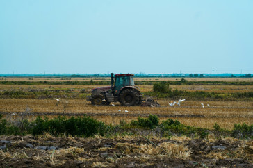 Фотография к новости: Наука, переработка, кадры: Что тормозит развитие агросектора в Казахстане